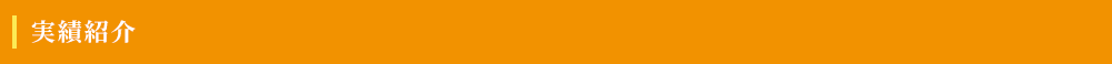 実績紹介